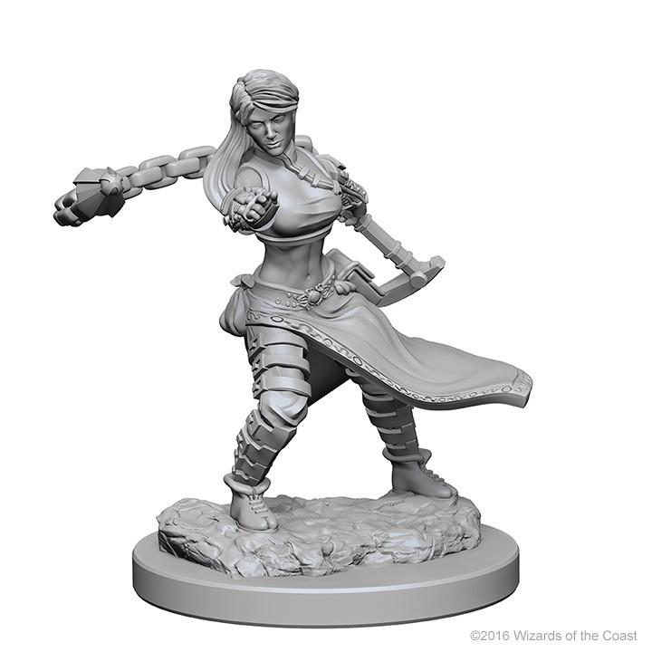 D&amp;D - Human Female Monk (Nolzurs Marvelous Unpainted Miniatures)