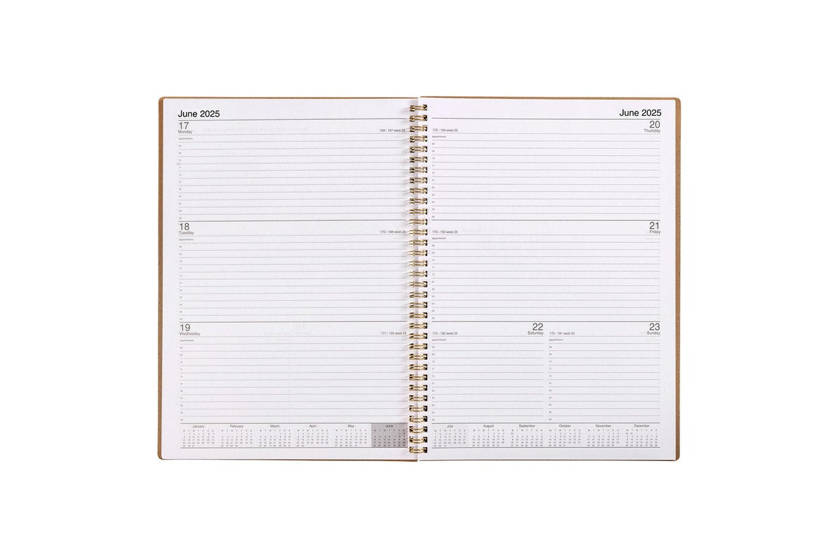 Cumberland Ecowise Enviro 2025 Diary - Spiral 47SECB25 A4 WTV Board Cover - Kraft