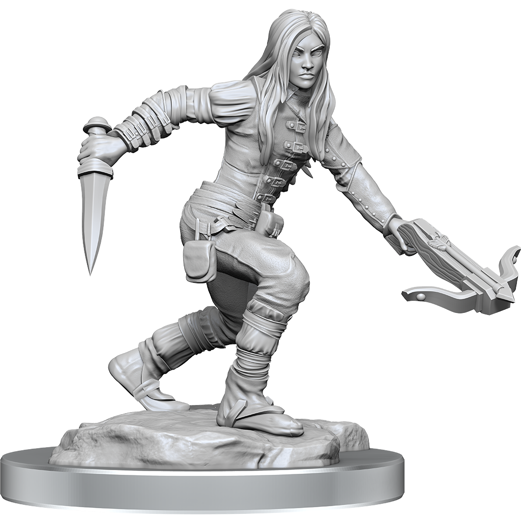 Half-Elf Rogue Female (D&amp;D Nolzurs Marvelous Unpainted Miniatures)