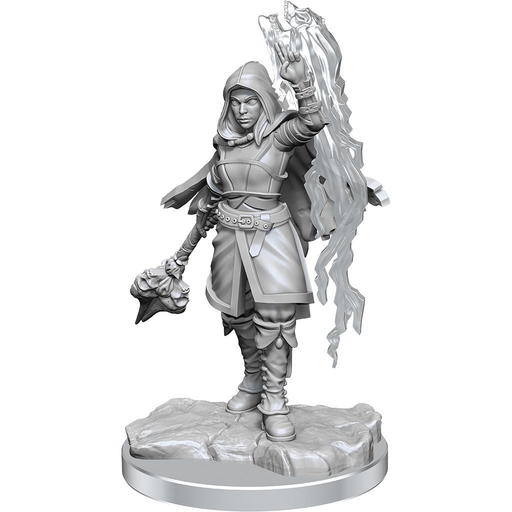 Half-Elf Warlock - Female [D&D Nolzurs Marvelous Unpainted Miniatures]