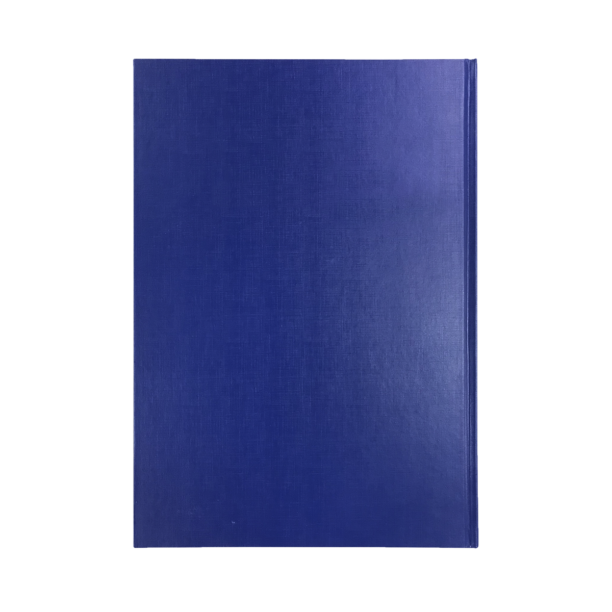 Collins 2027 Calendar Year Diary - Kingsgrove 341 A4 WTV Blue