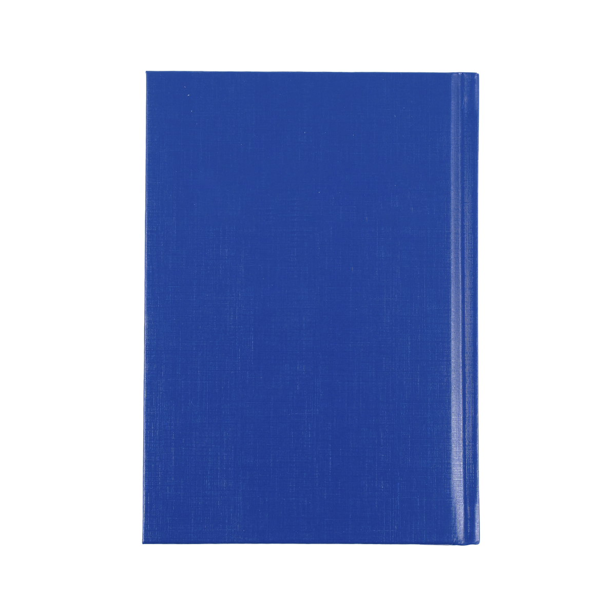 Collins 2027 Calendar Year Diary - Kingsgrove 361 A6 WTV Blue