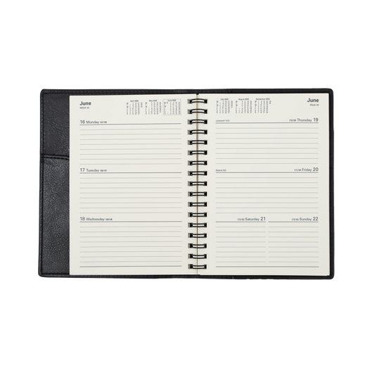 Collins 2025 Calendar Year Diary - Vanessa 365 Spiral A6 WTV Purple