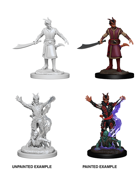 D&amp;D - Male Tiefling Warlock (Nolzurs Marvelous Unpainted Miniatures)