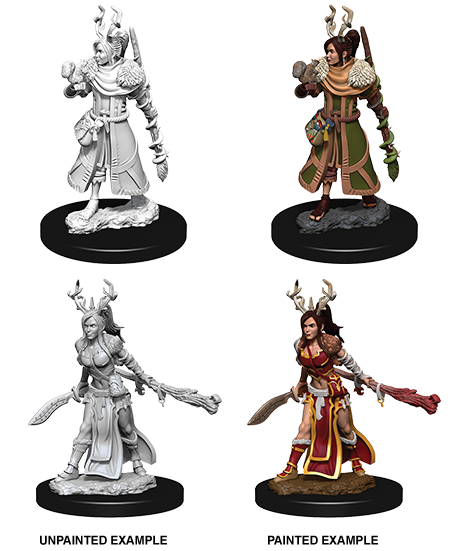 Human Druid - Female (D&D Nolzurs Marvelous Unpainted Miniatures)