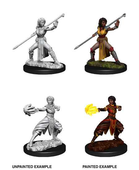 Half-Elf Monk - Female [D&D Nolzurs Marvelous Unpainted Miniatures]