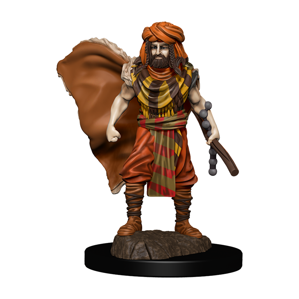 D&amp;D - Human Druid Male (Premium Painted Figures)