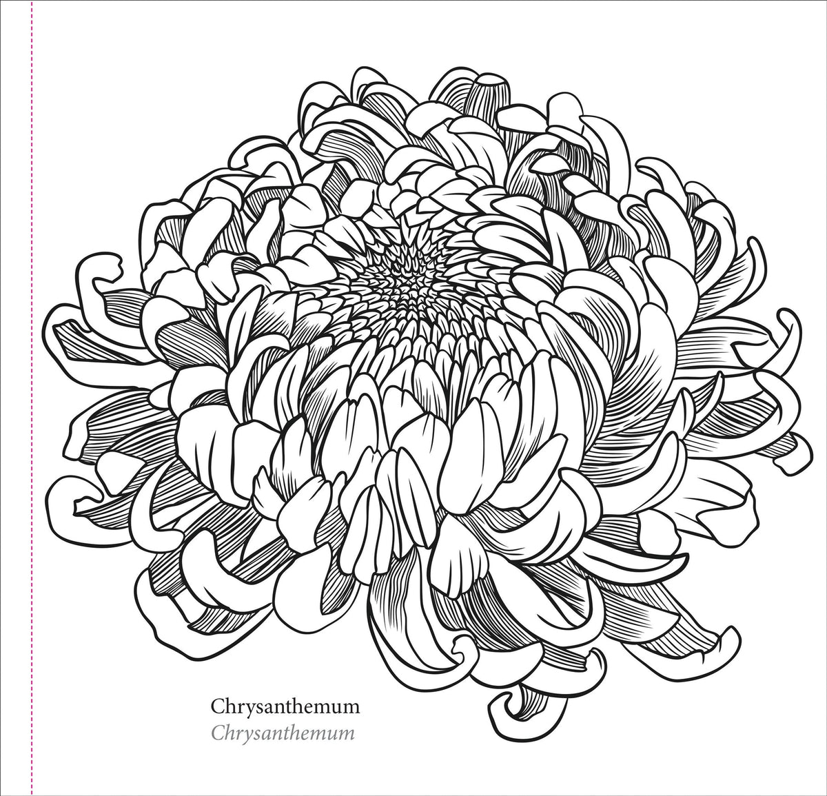 Spring Blooms Artist&#39;s Colouring Book (Peter Pauper Press)