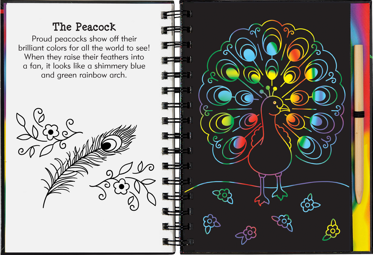 Rainbow Magic Scratch and Sketch [Peter Pauper Press]