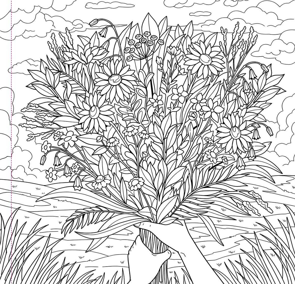 Wildflowers Adult Colouring Book [Peter Pauper Press]
