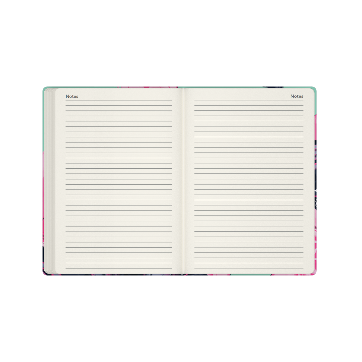 Collins 2027 Calendar Year Diary - The Roses A5 Week to View Dragonfly