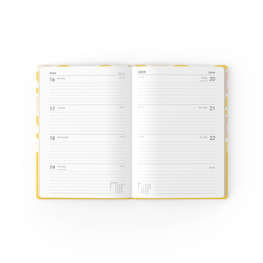 Collins 2025 Calendar Year Diary - Lifestyle Party A5 WTV Recycled -Lady