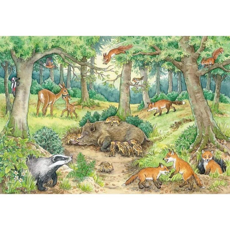 Animals in the Forest & Meadow 2x12pc [Ravensburger Puzzle]