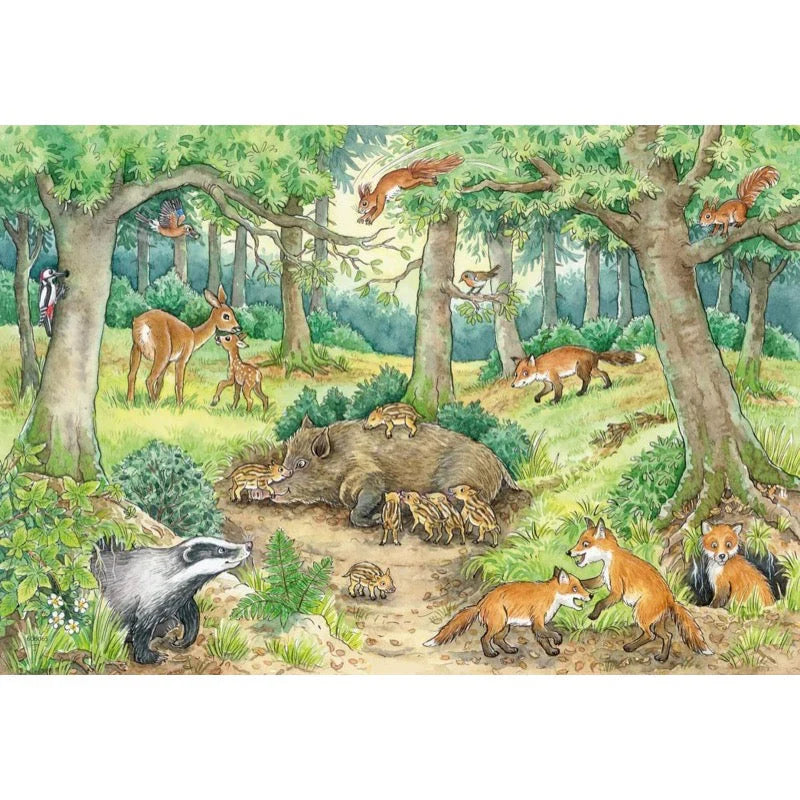 Animals in the Forest &amp; Meadow 2x12pc [Ravensburger Puzzle]