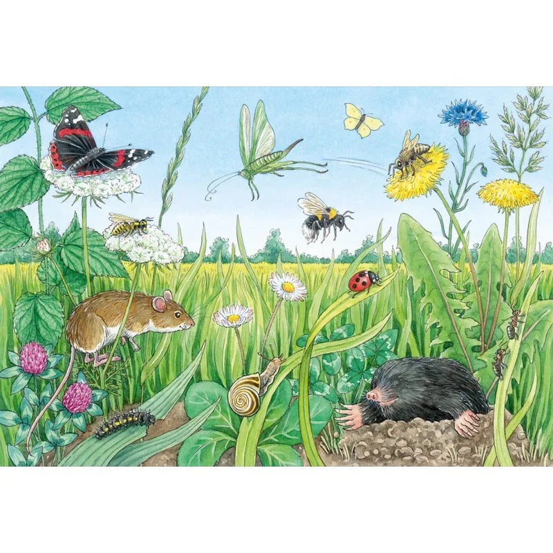 Animals in the Forest &amp; Meadow 2x12pc [Ravensburger Puzzle]