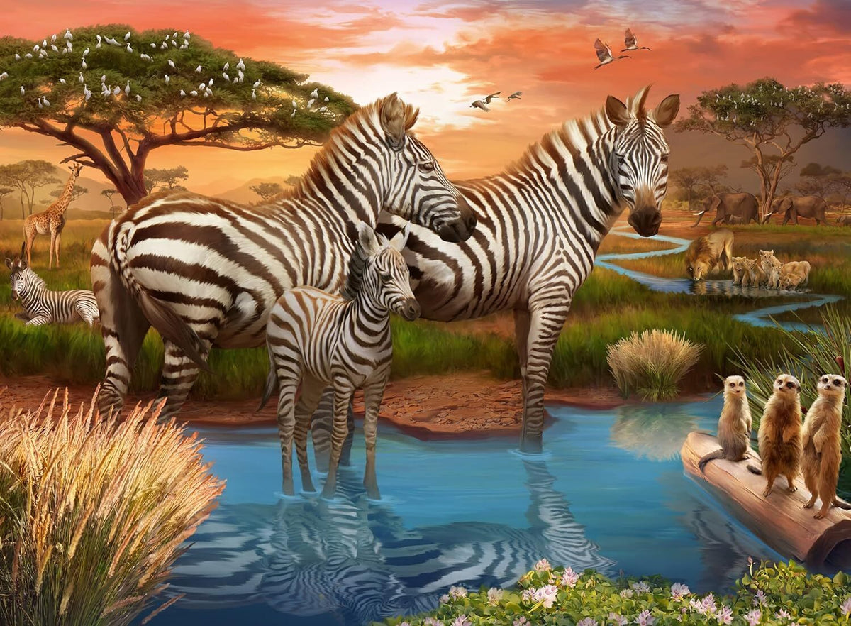 Zebra 500pc [Ravensburger Puzzle]