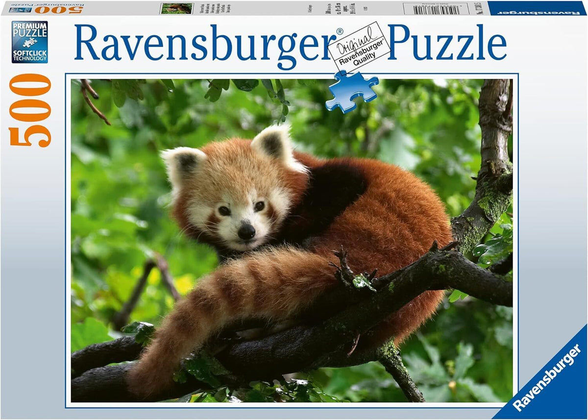 Red Panda Photo 500pc [Ravensburger Puzzle]