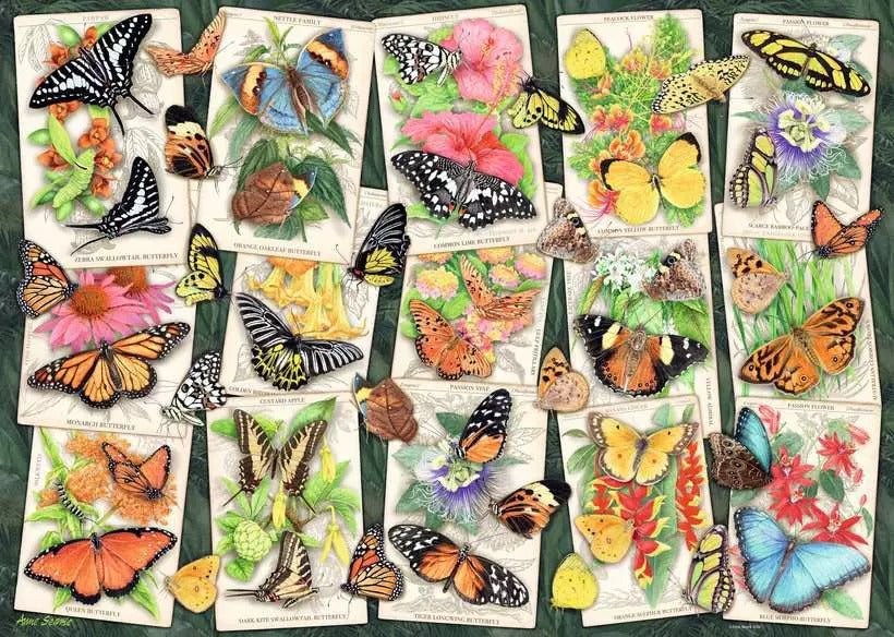 Tropical Butterfly 1000pc [Ravensburger Puzzle]