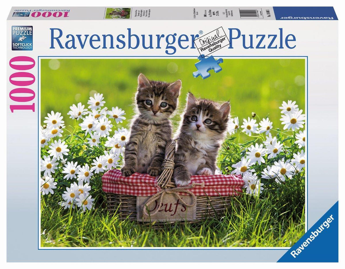 Picnic In The Meadow Puzzle 1000pc [Ravensburger Puzzle]