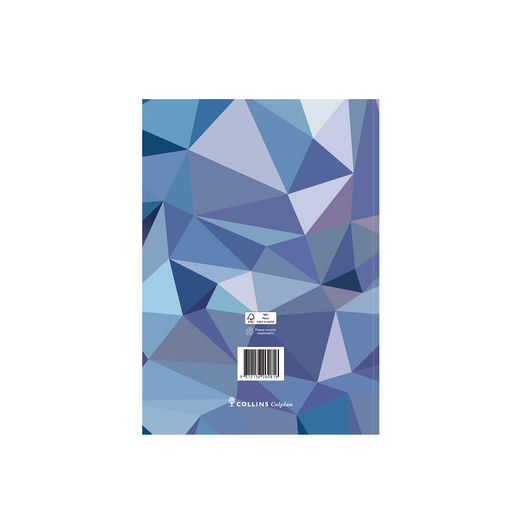 Collins Colplan 2025 Calendar Year Diary - School SC37 A5 WTV