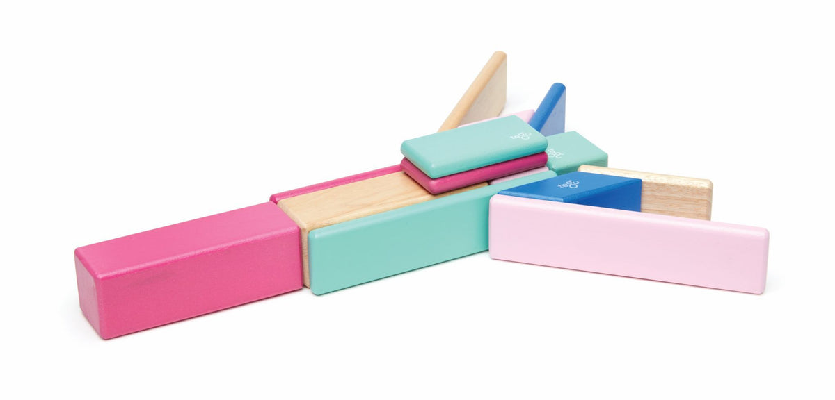 Tegu - Magnetic Wooden Blocks 14pc - Blossom