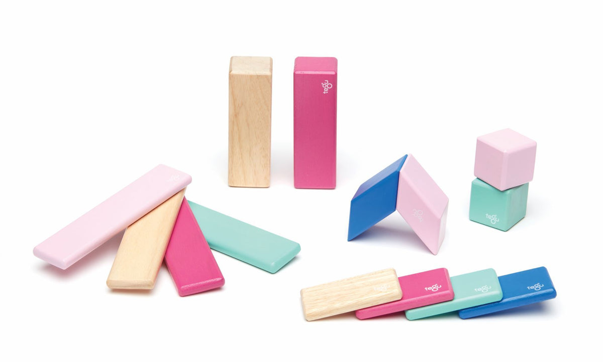 Tegu - Magnetic Wooden Blocks 14pc - Blossom