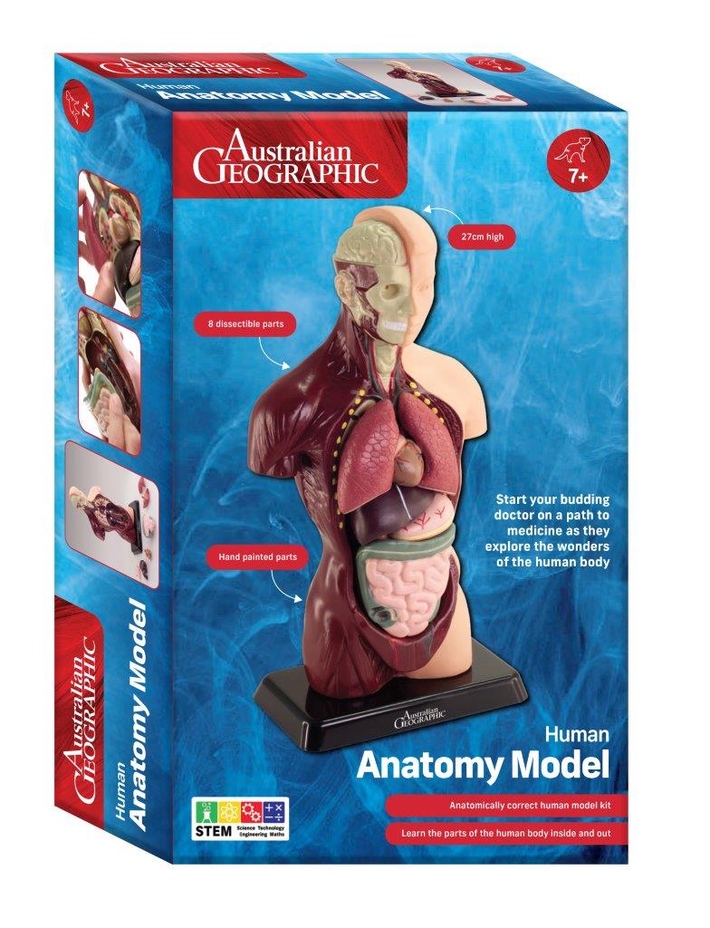 Human Anatomy Model (Australian Geographic)