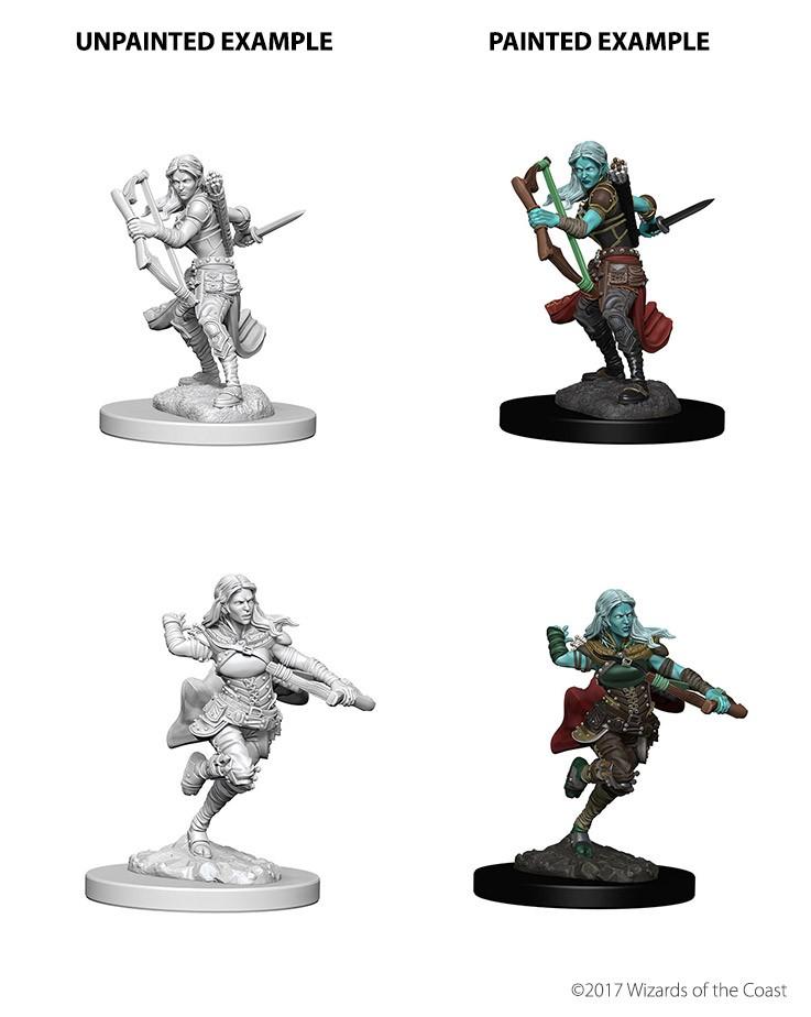 D&amp;D - Air Genasi Female Rogue (Nolzurs Marvelous Unpainted Miniatures)