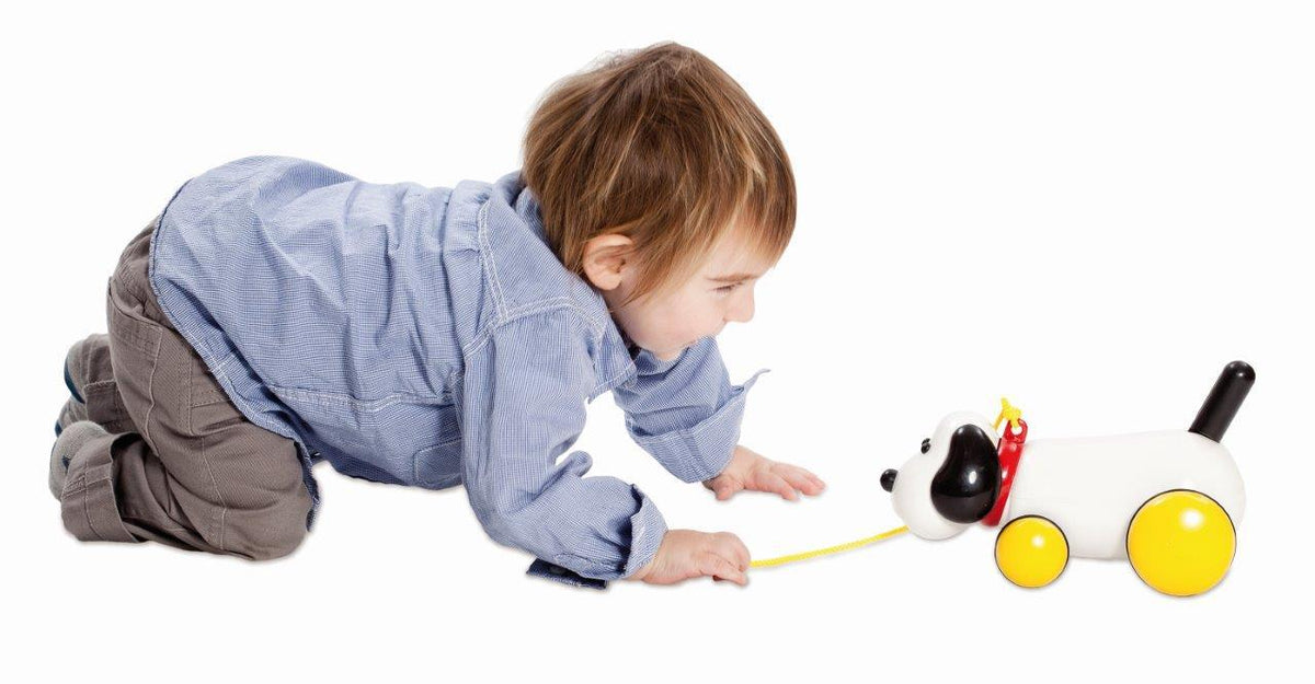 Ambi Toys - Max Pull Along Dog