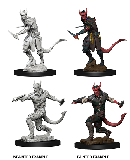 D&amp;D - Tiefling Male Rogue (Nolzurs Marvelous Unpainted Miniatures)