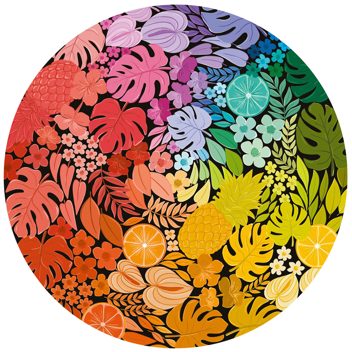 Circle of Colours: Tropical 500pc Round [Ravensburger Puzzle]