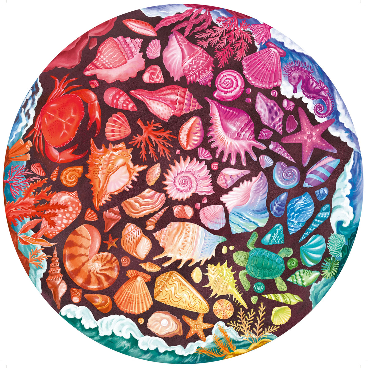 Circle of Colours: Seashells 500pc Round [Ravensburger Puzzle]