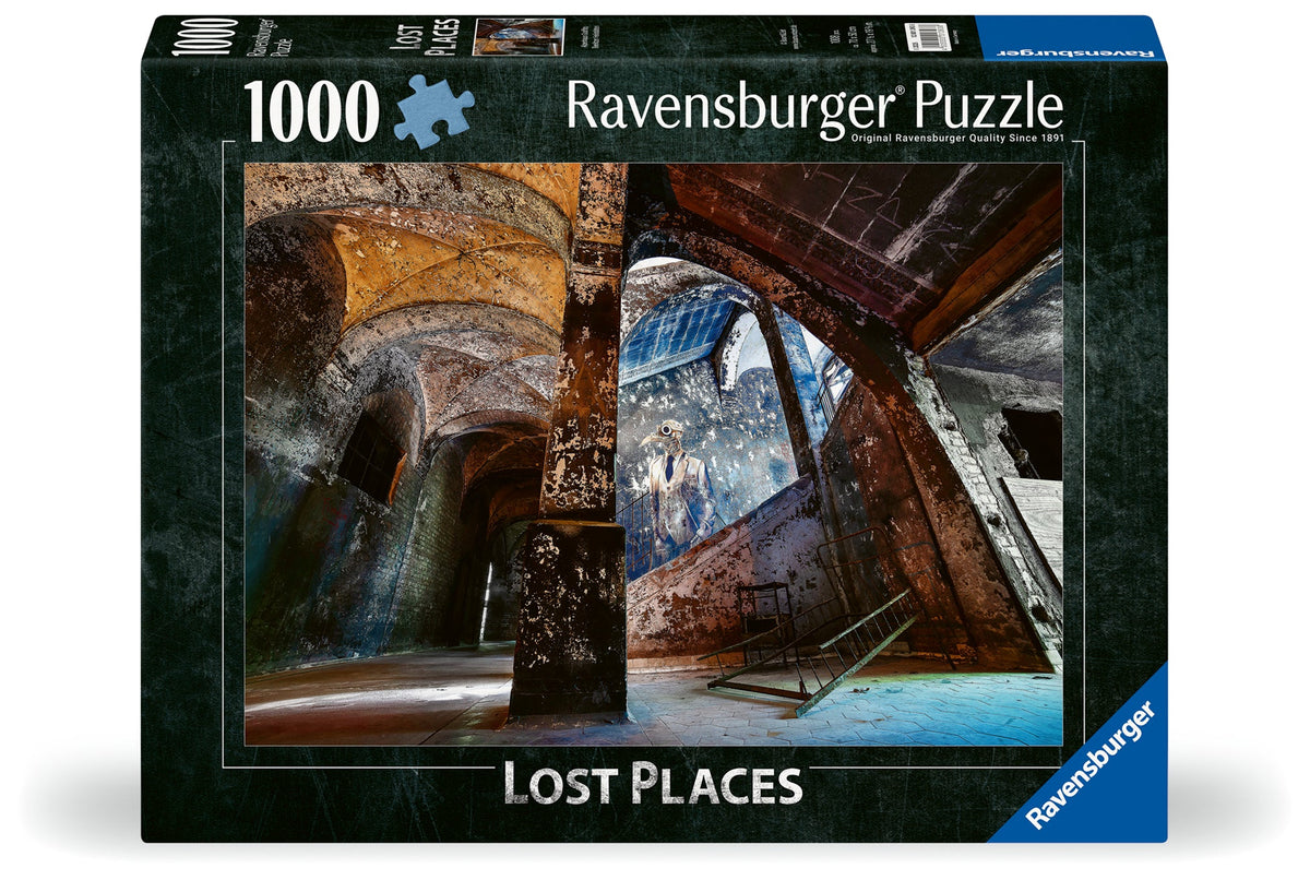 Lost Places: #2 Alpenhaus Graffito 1000pc [Ravensburger Puzzle]