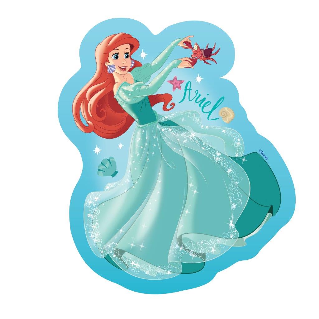 Disney Princess 4 Shaped Puzzles in a Box [Ravensburger Puzzle]