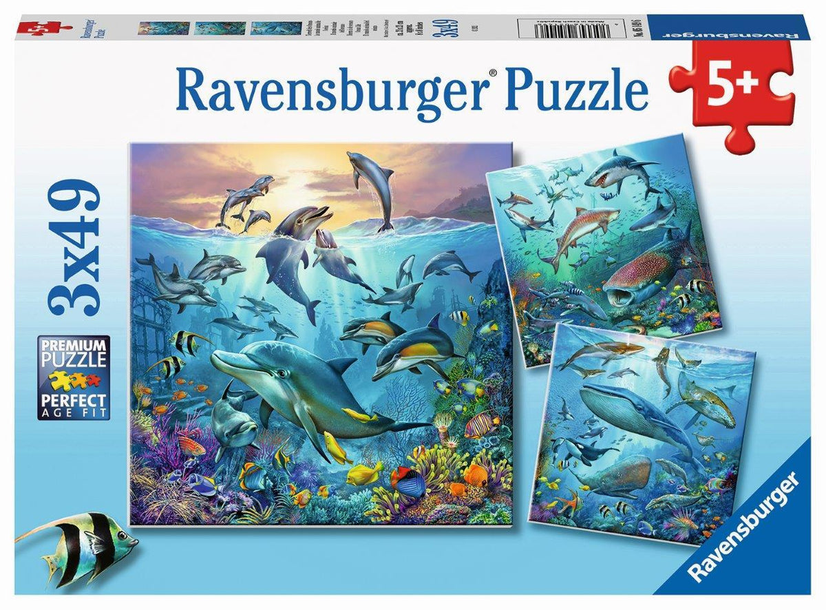 Ocean Life 3x49pc [Ravensburger Puzzle]