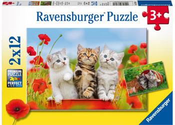 Kitten Adventures Puzzle 2x12pc [Ravensburger Puzzle]