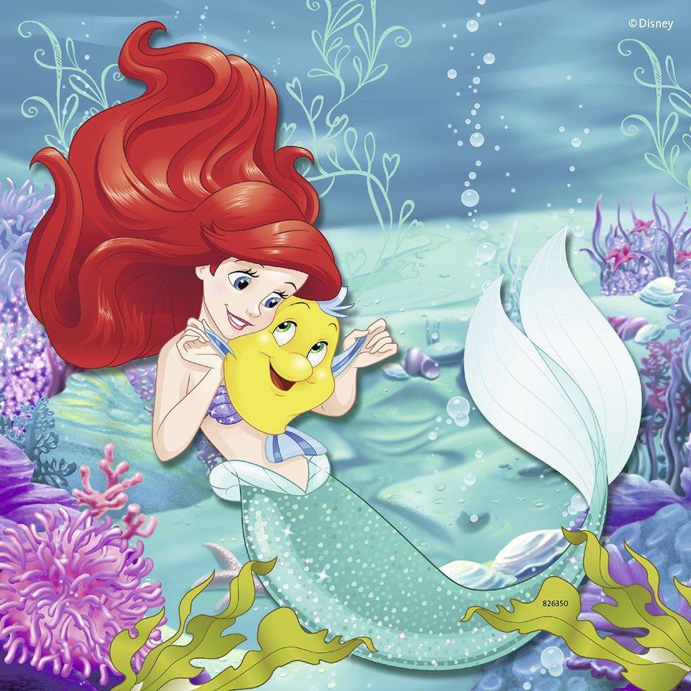 Disney Princesses Adventure 3x49pc [Ravensburger Puzzle]
