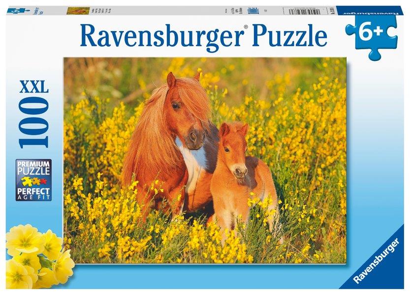 Shetland Ponys 100pc [Ravensburger Puzzle]