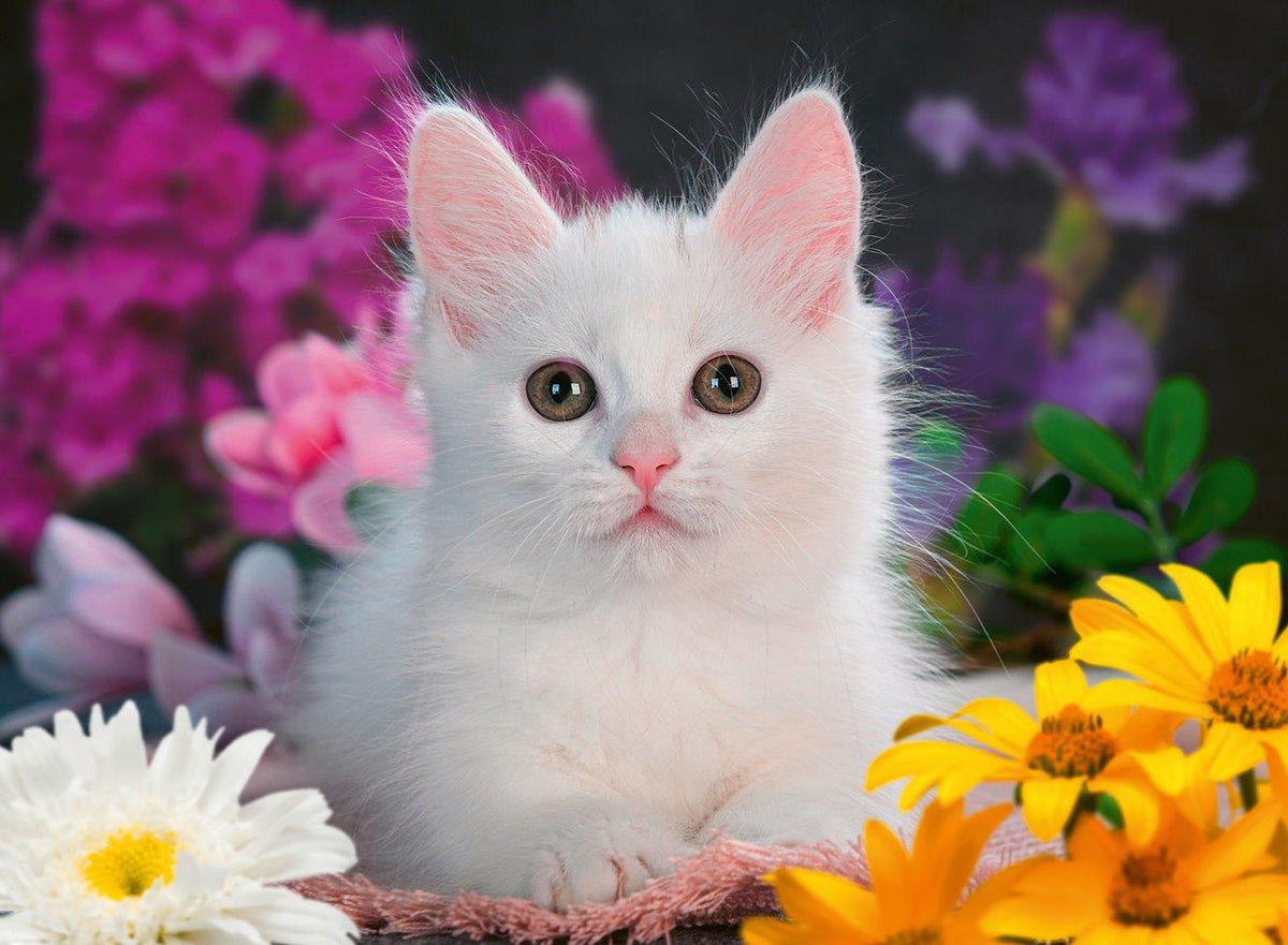 Glitter Cat 100pc [Ravensburger Puzzle]