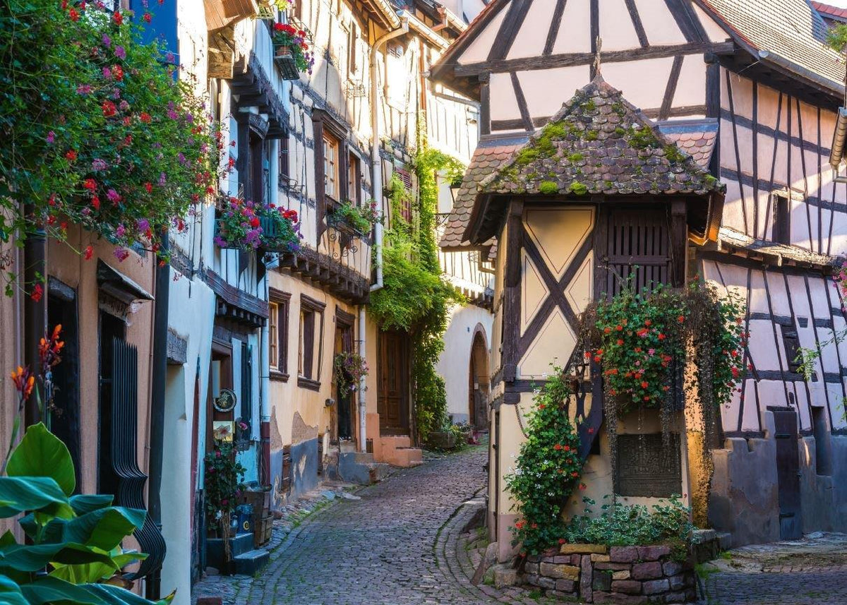 French Moments In Alsace 1000pc [Ravensburger Puzzle]