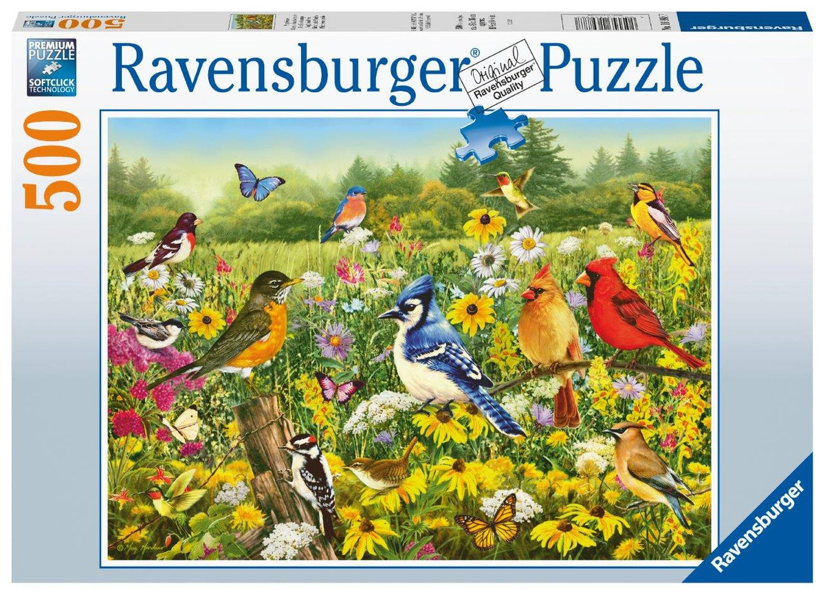 Birds in the Meadow 500pc [Ravensburger Puzzle]