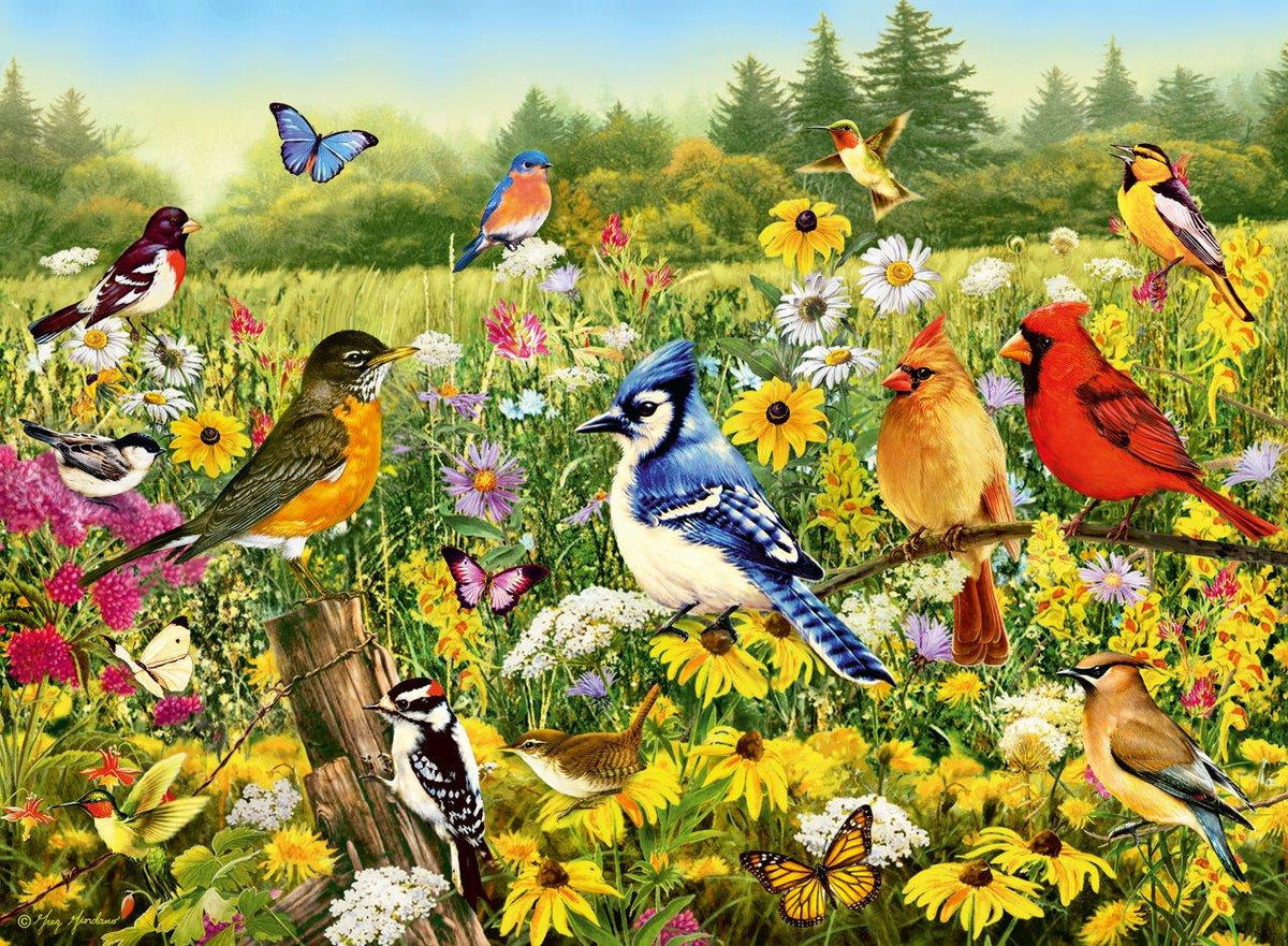 Birds in the Meadow 500pc [Ravensburger Puzzle]