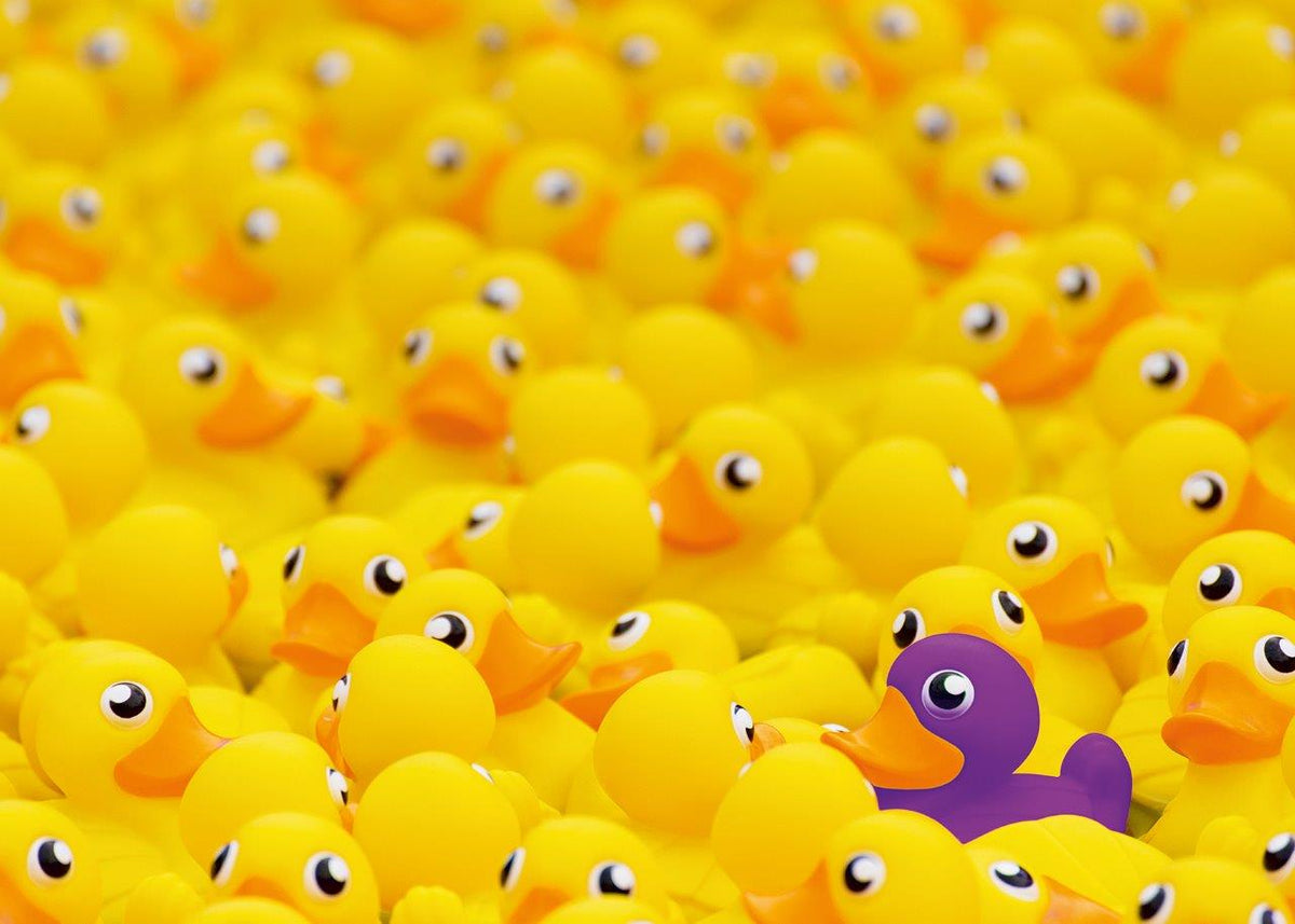 Rubber Ducks 1000pc [Ravensburger Puzzle]