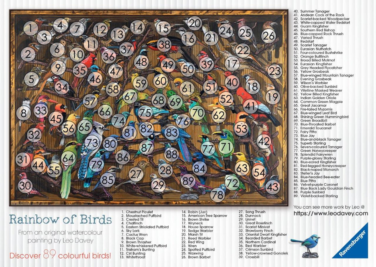 Rainbow of Birds 1000pc [Ravensburger Puzzle]