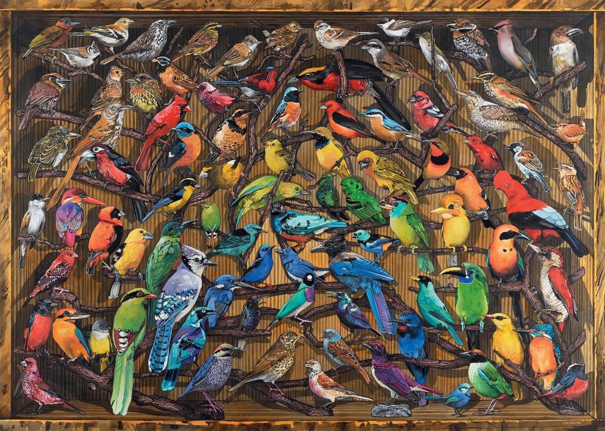 Rainbow of Birds 1000pc [Ravensburger Puzzle]