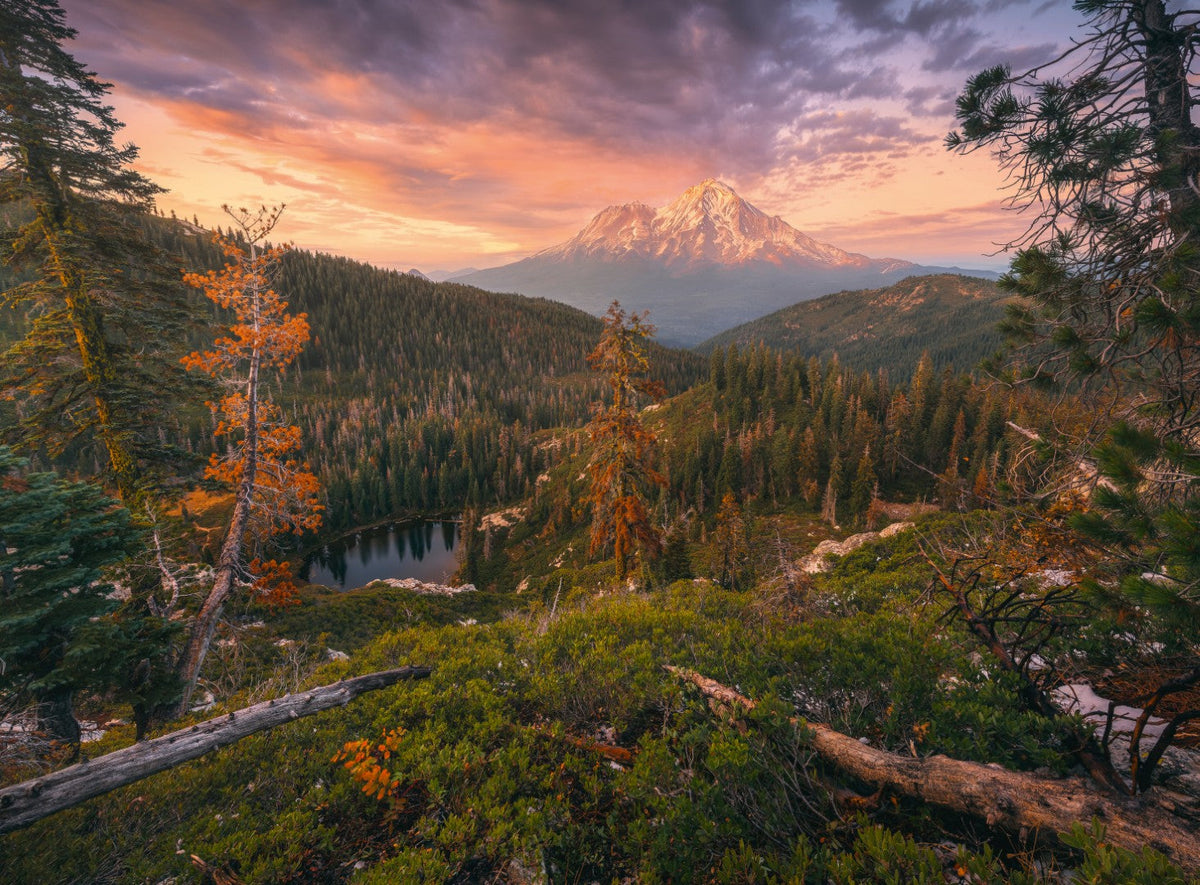 Four Seasons 4x500pc [Ravensburger Puzzle]