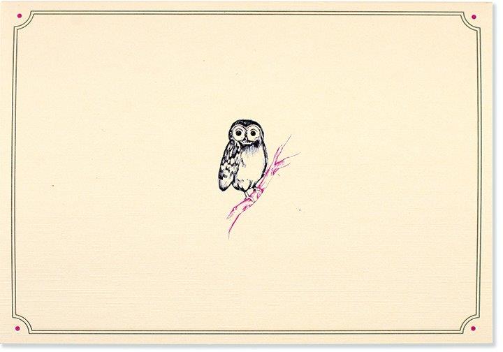 Peter Pauper Note Card Owl Portrait