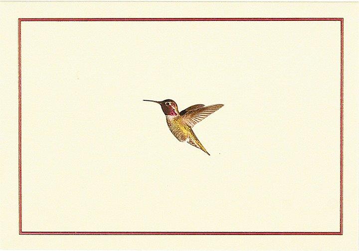 Peter Pauper Note Card Hummingbird Flight