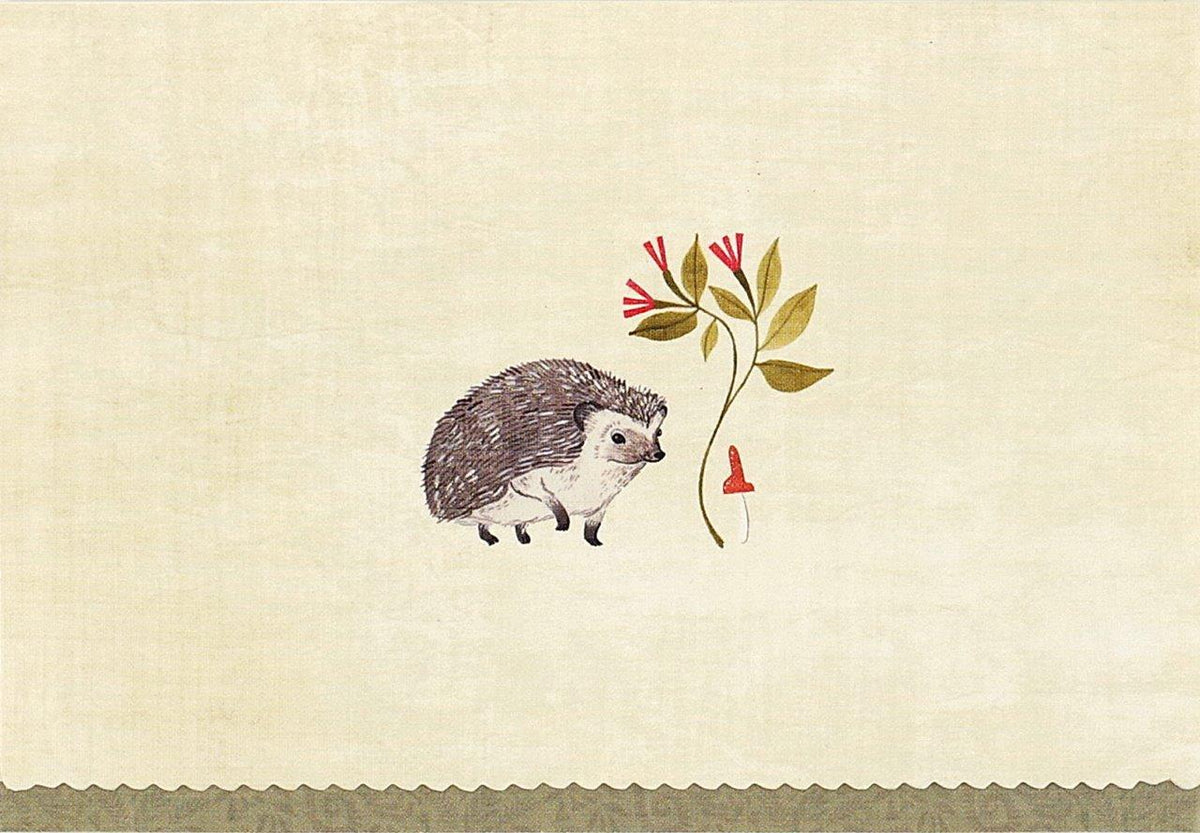 Peter Pauper Note Card Hedgehog