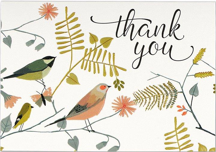 Peter Pauper Thank You Note Songbirds